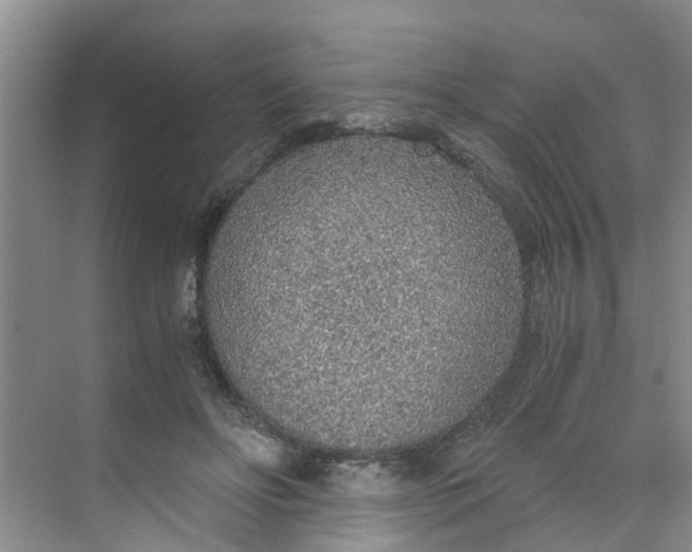 X0000068730502200605121521