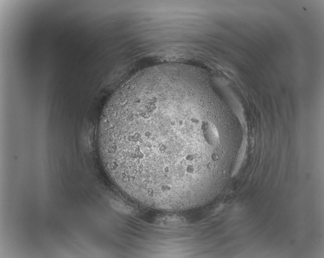 X0000068730503200605121521