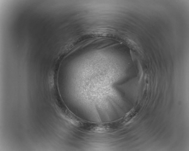 X0000068730504200605121521