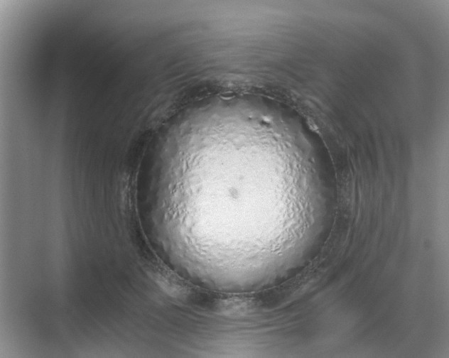 X0000068730511200605121521