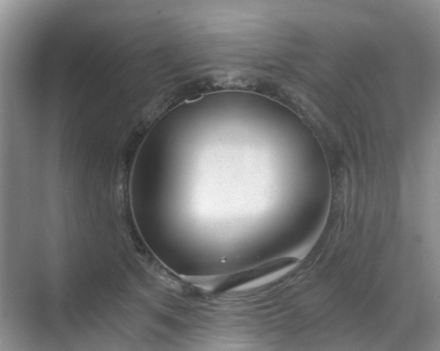 X0000068730513200605121521