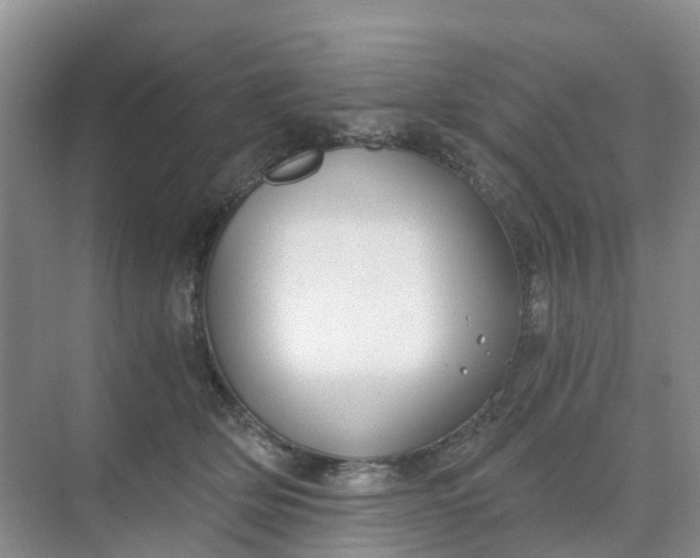 X0000068730514200605121521