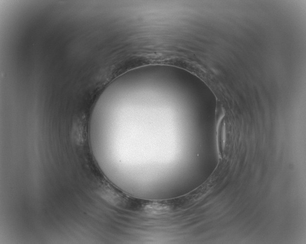 X0000068730515200605121521