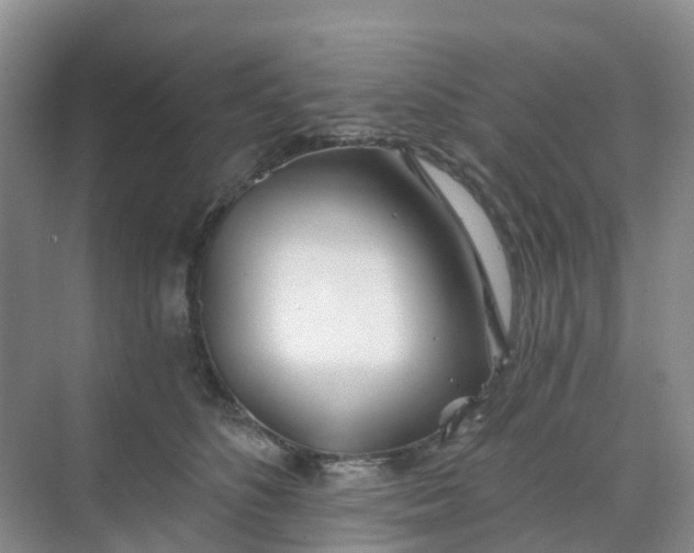 X0000068730516200605121521