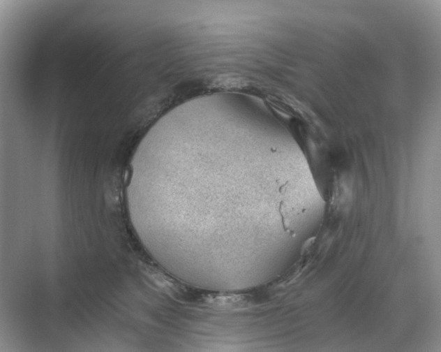 X0000068730517200605121521