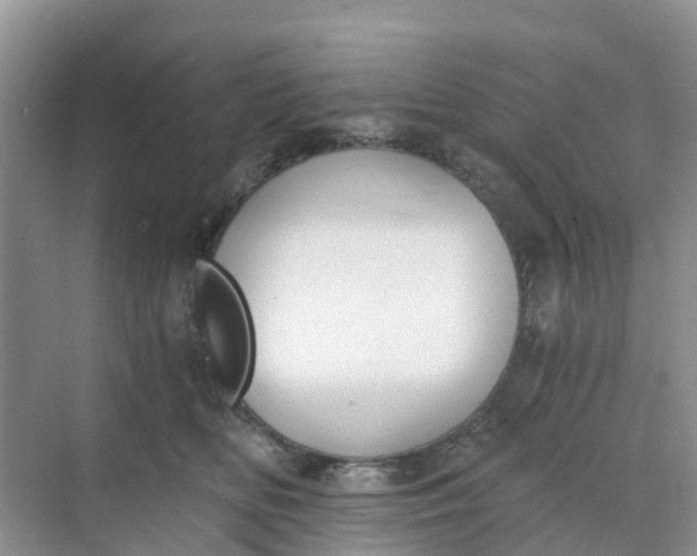 X0000068730518200605121521