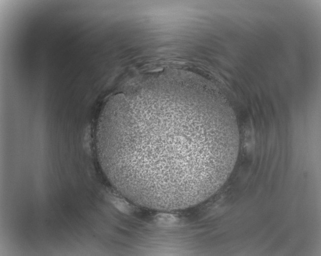 X0000068730519200605121521