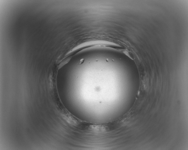 X0000068730520200605121521