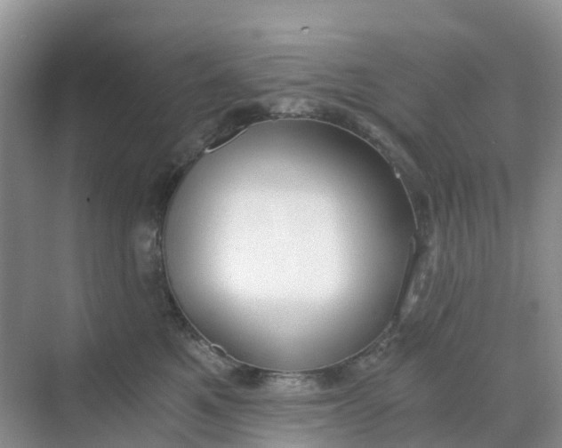 X0000068730521200605121521