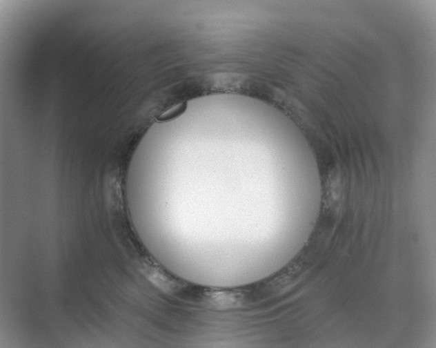 X0000068730522200605121521