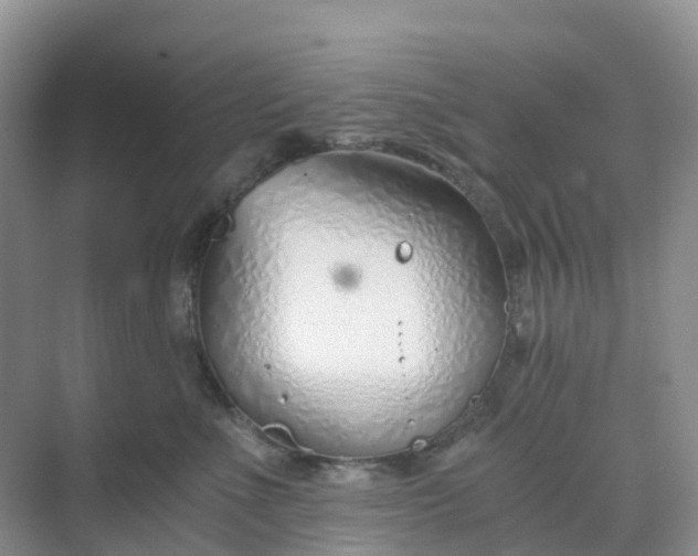 X0000068730523200605121521