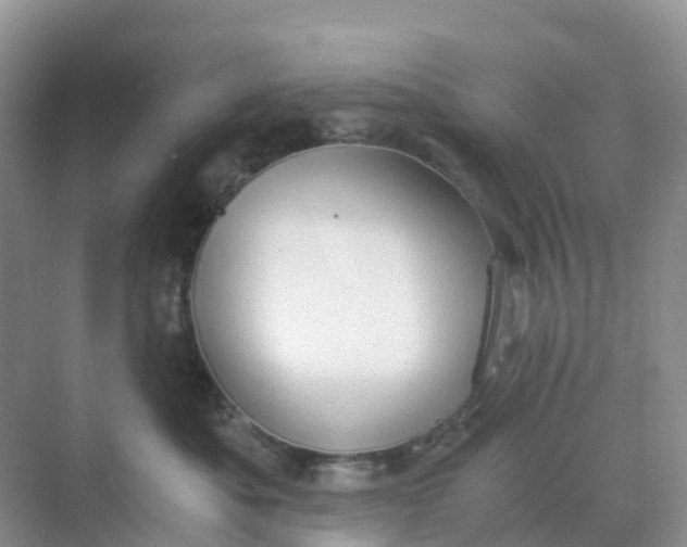 X0000068730525200605121521