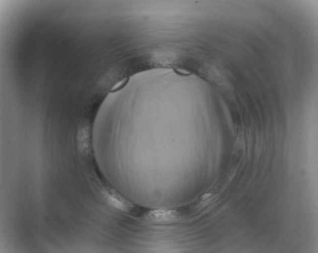 X0000068730526200605121521