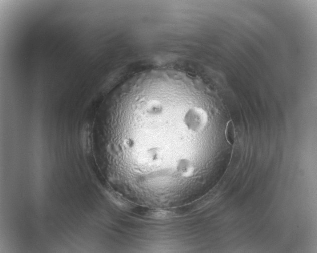 X0000068730527200605121521