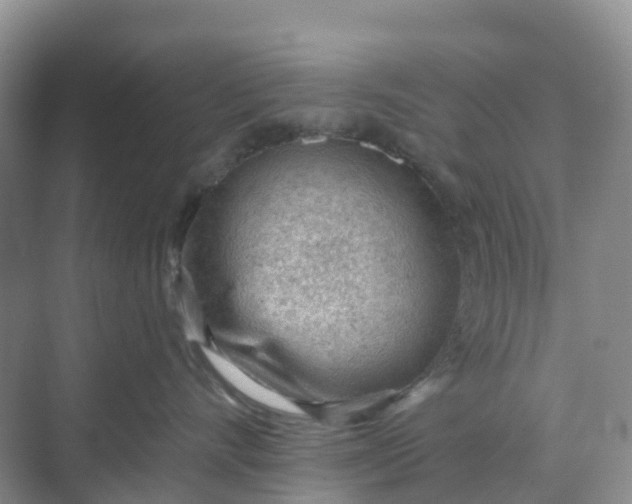 X0000068730528200605121521