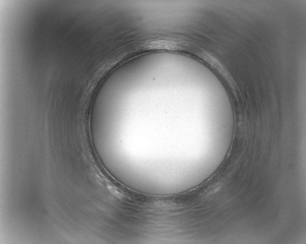 X0000068730529200605121520