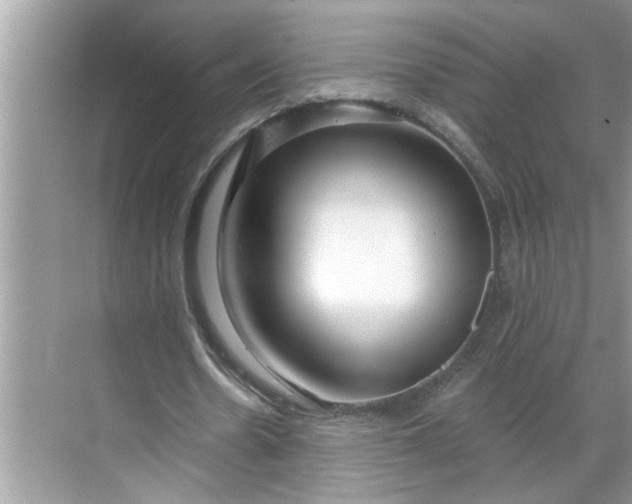 X0000068730530200605121520