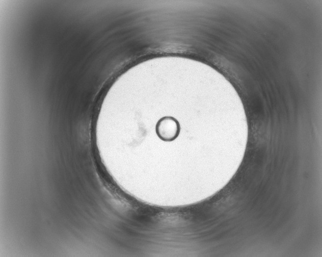 X0000068730534200605121520