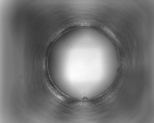 X0000068730537200605121520