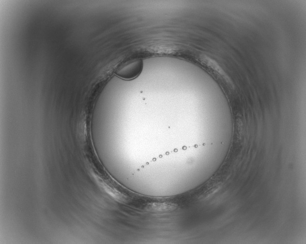 X0000068730541200605121520