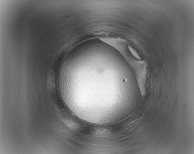 X0000068730547200605121521