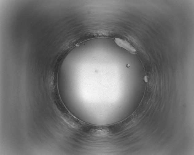 X0000068730548200605121521