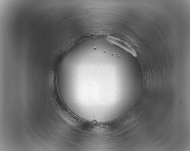 X0000068730550200605121521