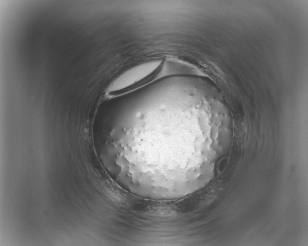 X0000068730553200605121521