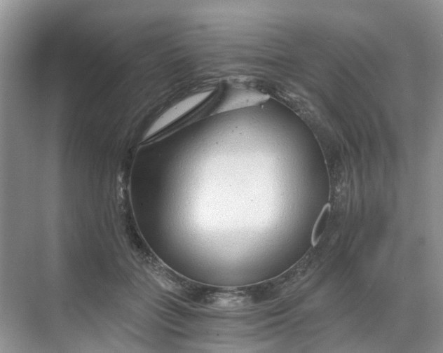 X0000068730555200605121521