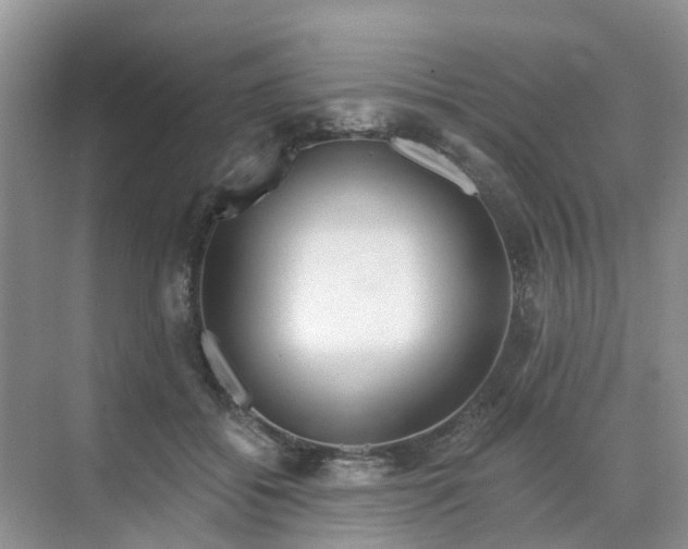 X0000068730556200605121521