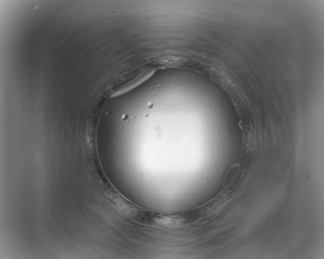 X0000068730561200605121521