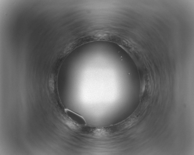 X0000068730562200605121521