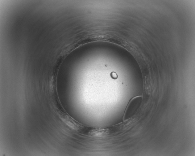 X0000068730563200605121521