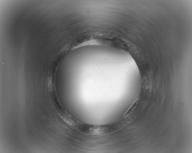 X0000068730564200605121521