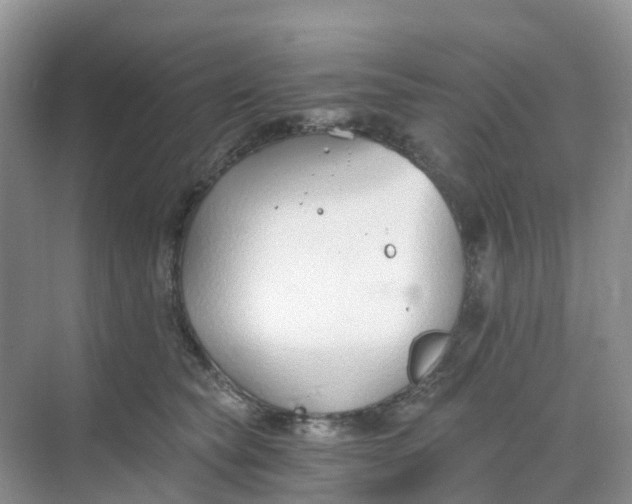 X0000068730565200605121521