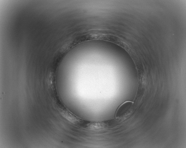 X0000068730567200605121521