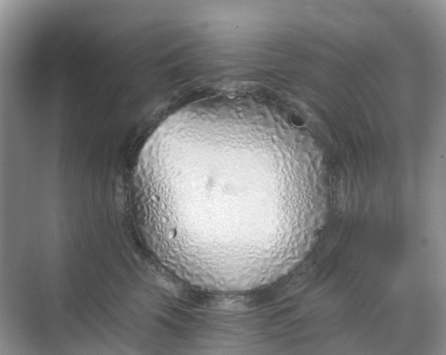 X0000068730569200605121521