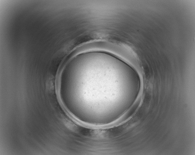 X0000068730570200605121521