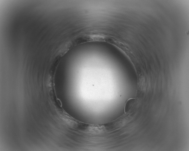 X0000068730571200605121521