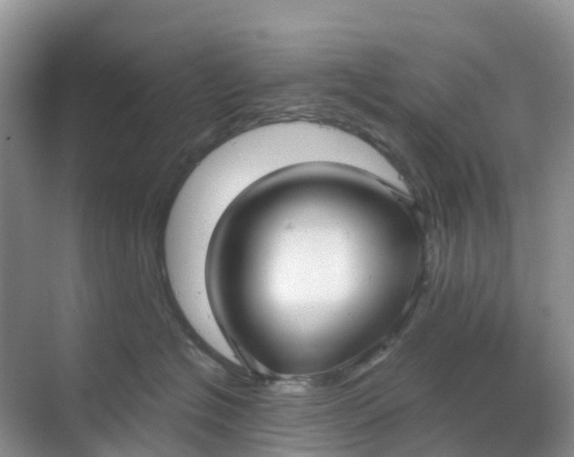 X0000068730574200605121521