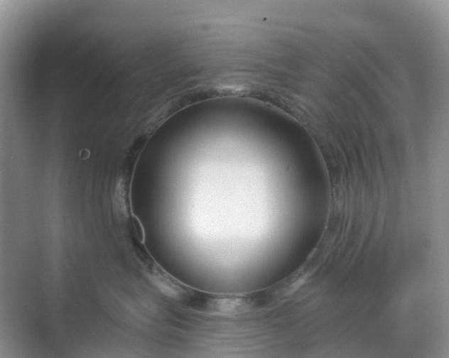 X0000068730575200605121521