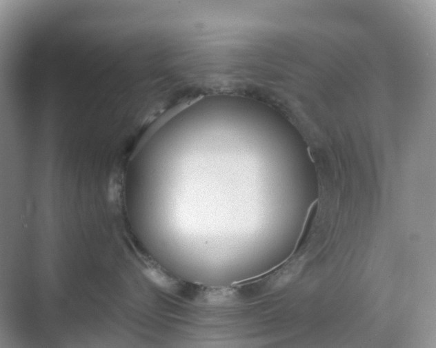 X0000068730576200605121521