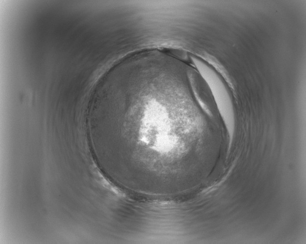 X0000068730577200605121520