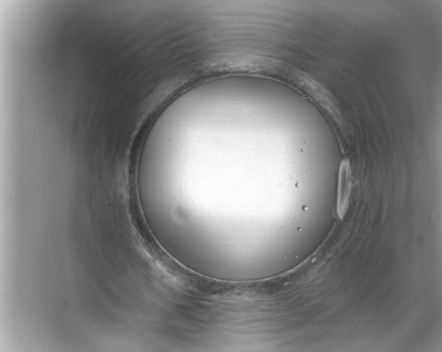 X0000068730578200605121520