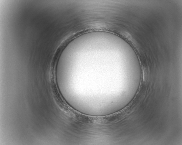 X0000068730579200605121520