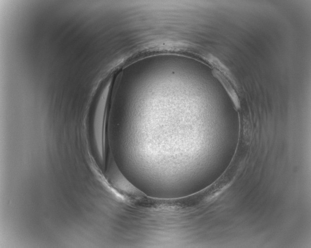 X0000068730581200605121520