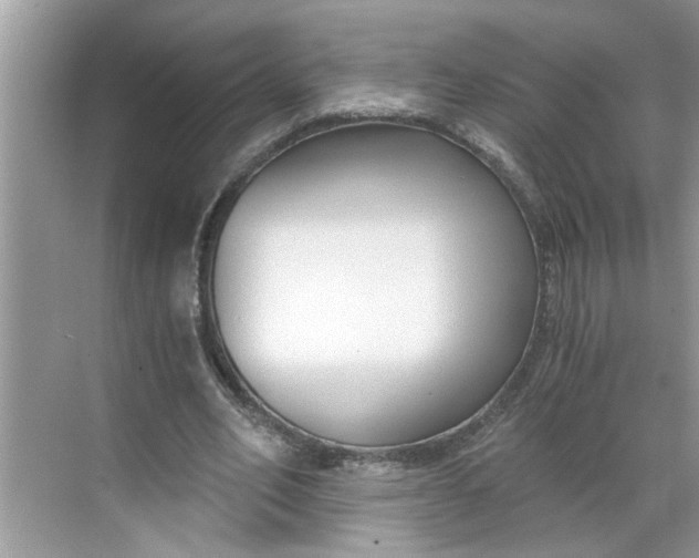 X0000068730582200605121520