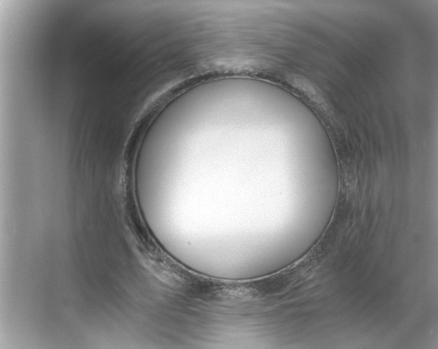 X0000068730583200605121520