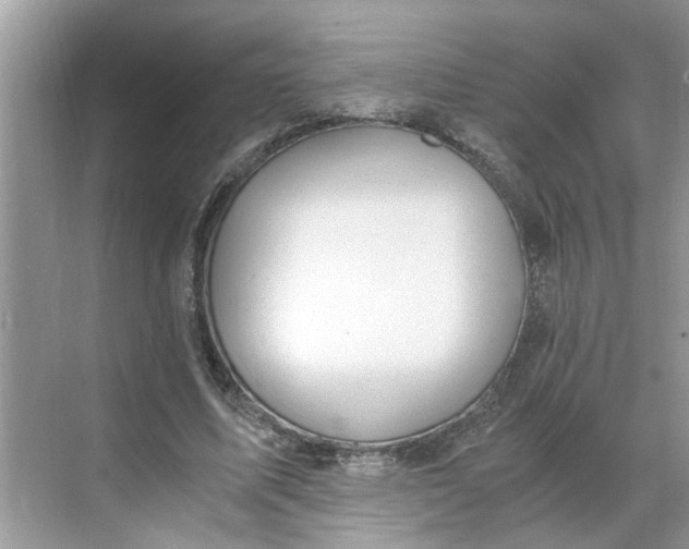 X0000068730587200605121520