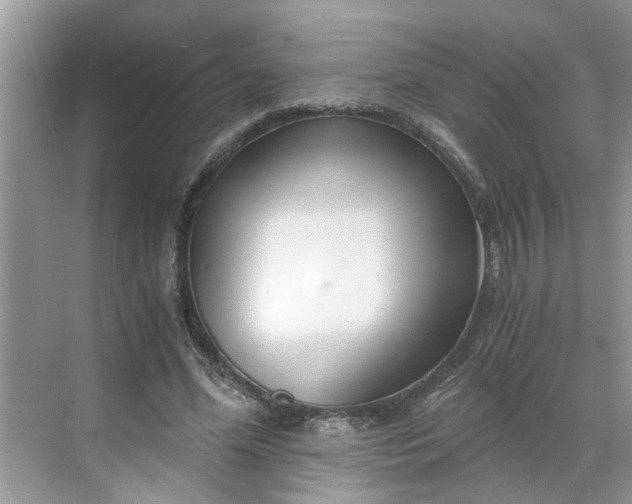 X0000068730588200605121520